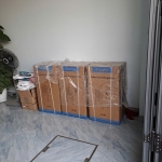 hình đánh giá của Trần Thanh Tâm
